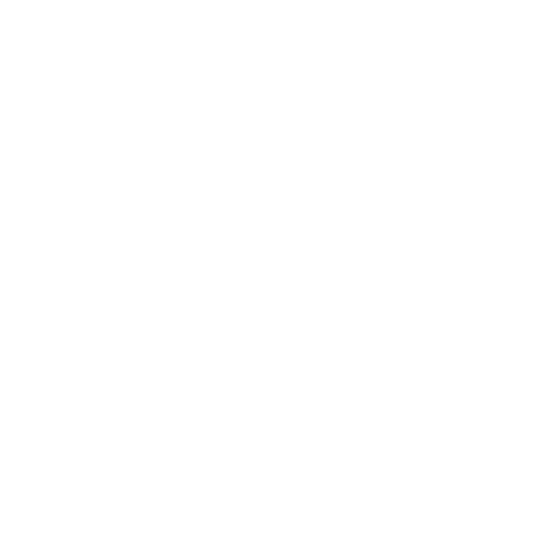 Hands-On Training With Expert Guidance